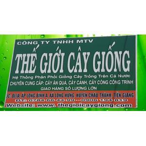 CÔNG TY TNHH MTV THẾ GIỚI CÂY GIỐNG