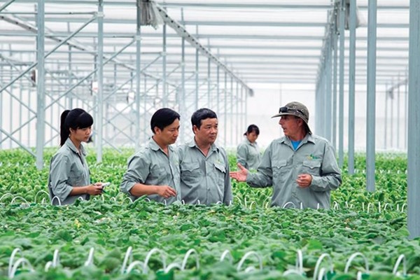mô tả chi tiết công việc của kỹ sư nông nghiệp 