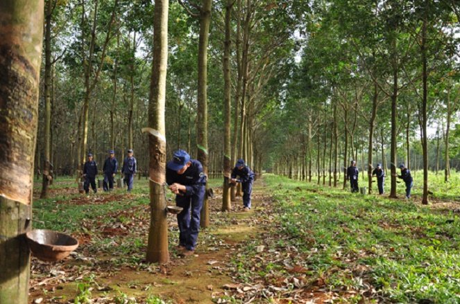 Bạn đang muốn tìm việc làm tại Quảng Trị?  Bài viết này sẽ giúp bạn có Kinh nghiệm tìm việc làm tại Quảng Trị nhanh, hiệu quả cao