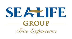 CÔNG TY TNHH SEALIFE GROUP tuyển dụng Trợ Lý Quản Lý Tàu (Acm) lương thưởng hấp dẫn, chế độ đãi ngộ cao, môi trường làm việc chuyên nghiệp