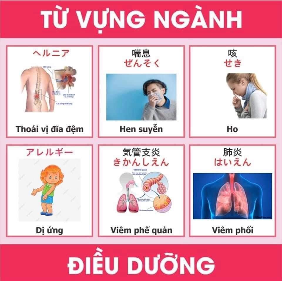 Từ vựng tiếng nhật chuyên ngành y và điều dưỡng 