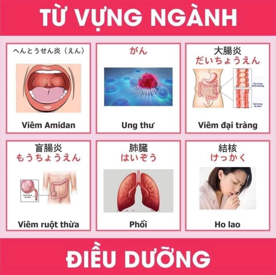 Từ vựng tiếng nhật chuyên ngành y và điều dưỡng 