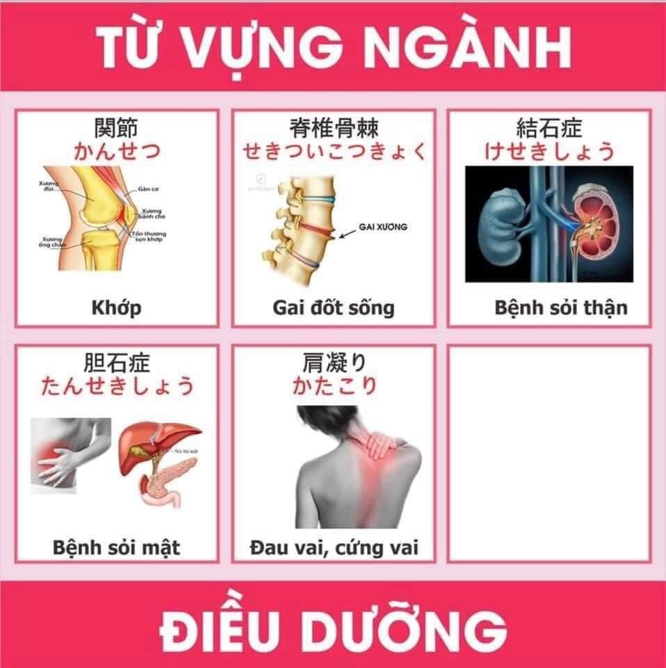 Từ vựng tiếng nhật chuyên ngành y và điều dưỡng 