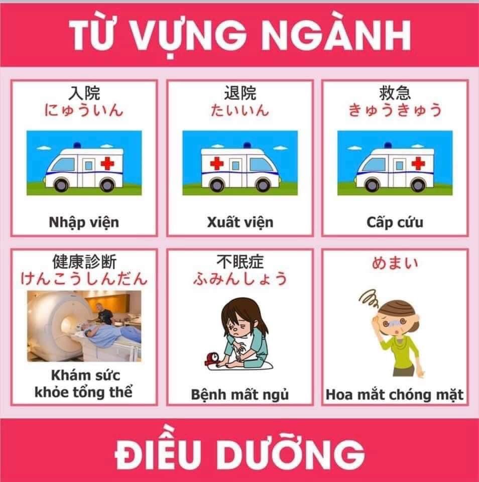 Từ vựng tiếng nhật chuyên ngành y và điều dưỡng 