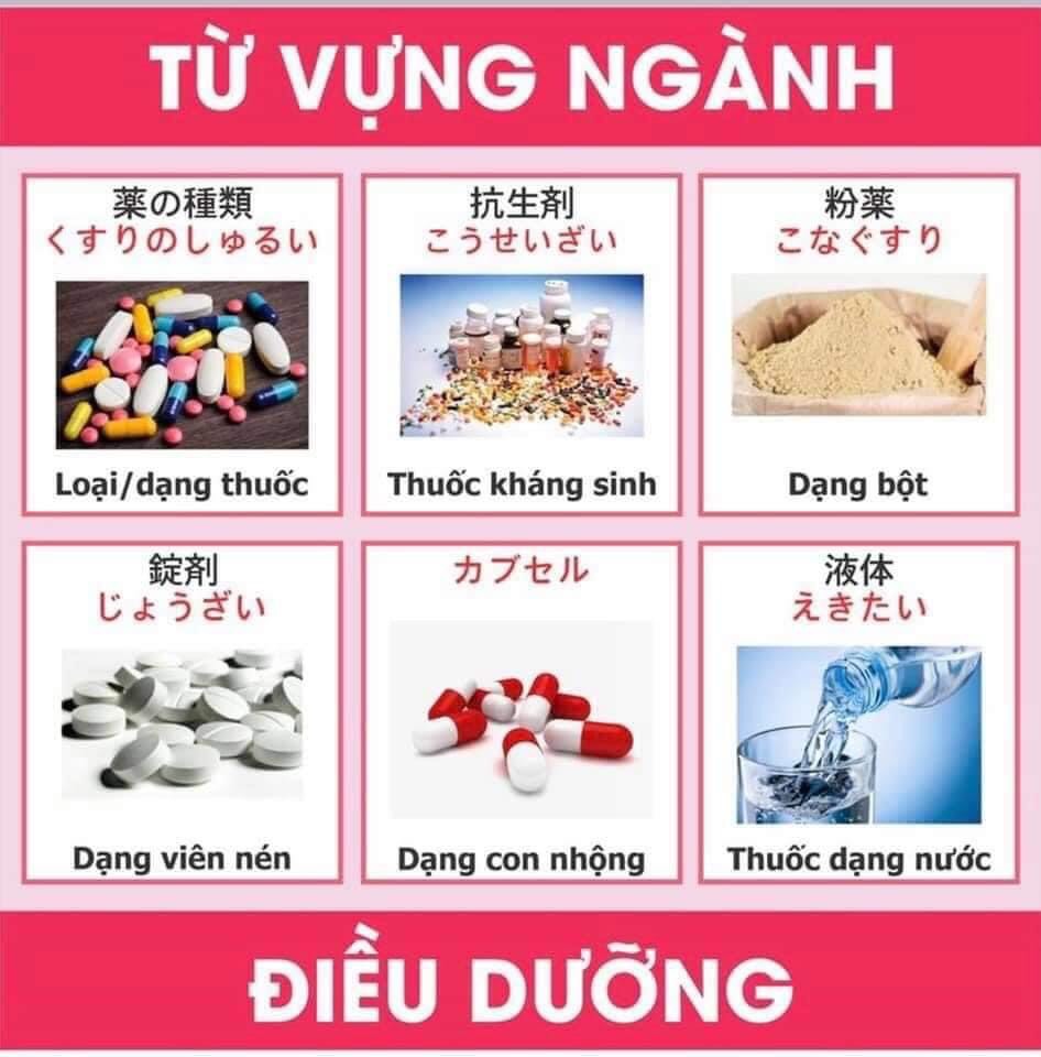 Từ vựng tiếng nhật chuyên ngành y và điều dưỡng 