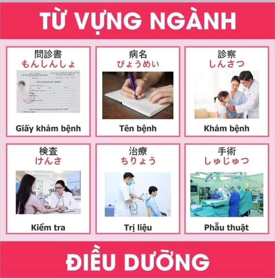 Từ vựng tiếng nhật chuyên ngành y và điều dưỡng 