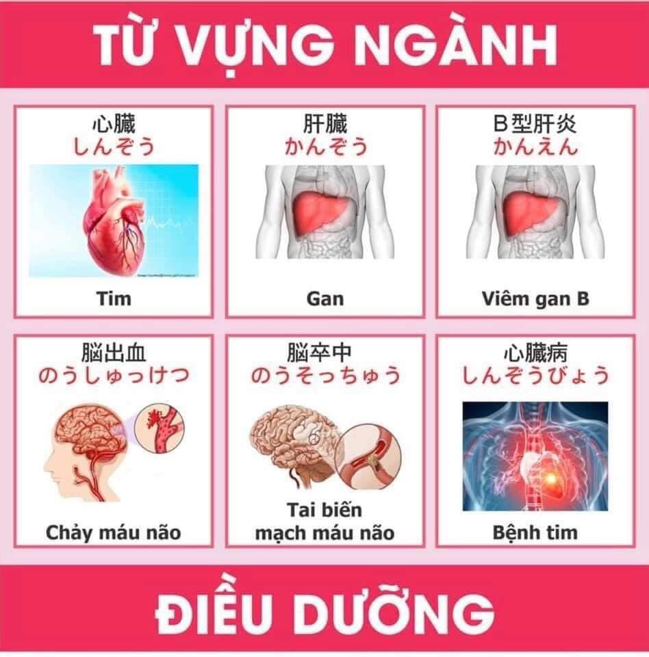 Từ vựng tiếng nhật chuyên ngành y và điều dưỡng 