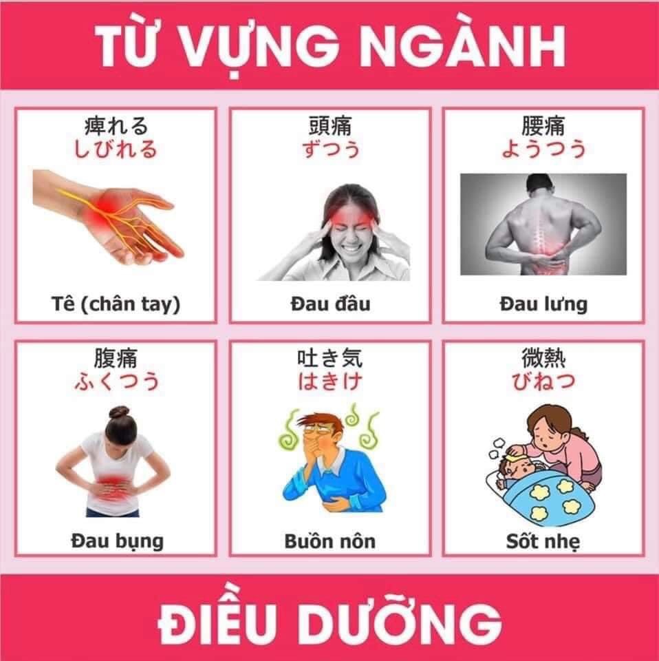 Từ vựng tiếng nhật chuyên ngành y và điều dưỡng 