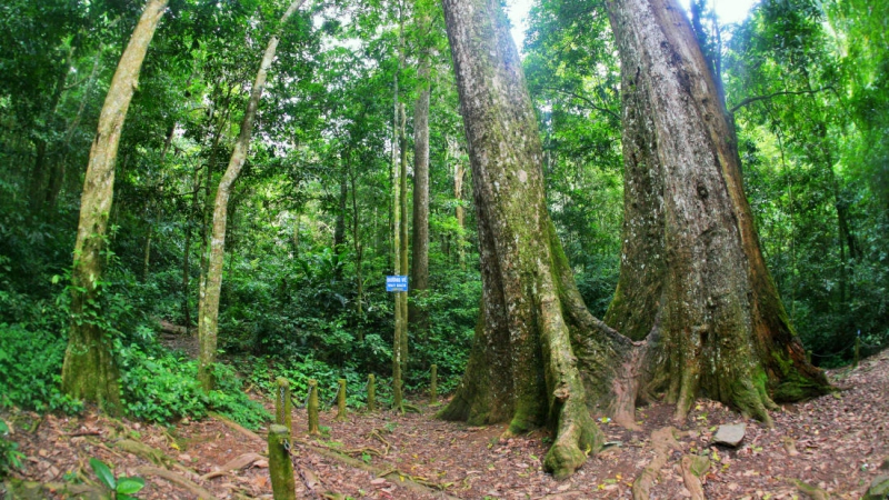 30 điểm du lịch không thể bỏ lỡ khi đến Việt Nam