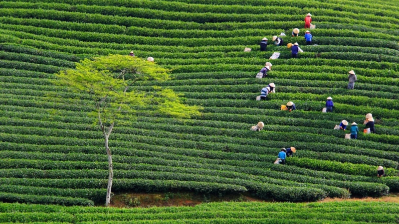 30 điểm du lịch không thể bỏ lỡ khi đến Việt Nam