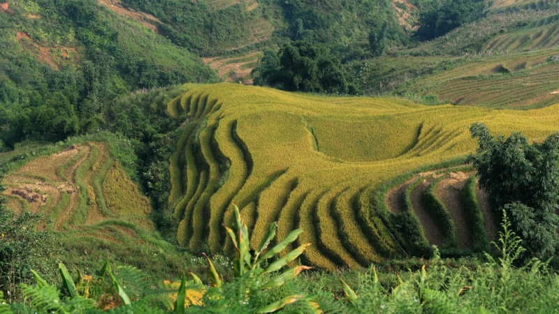 30 điểm du lịch không thể bỏ lỡ khi đến Việt Nam