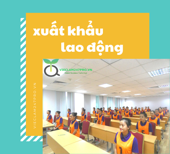 Đi nhật bản nên chọn đơn hàng nào