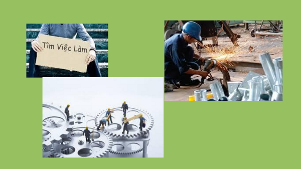 Việc làm tại Sơn La
