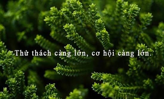 Lí do khiến bạn ngại chuyển việc